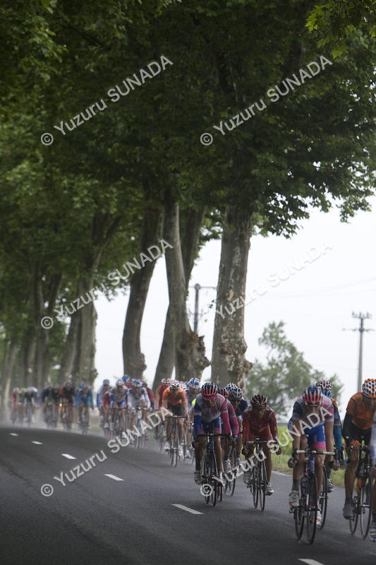 Peloton003p.jpg
